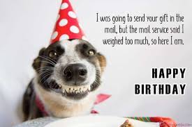 Maybe you would like to learn more about one of these? Best Happy Birthday Dog Meme Greeting Cards Images