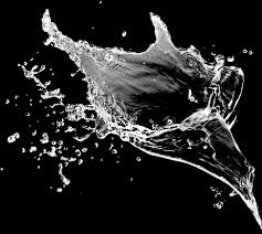 Download Water Splash Png Free Water Splash Sea Png Full Size Png Image Pngkit Find & download free graphic resources for water splash. water splash sea png
