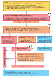 Management Of Hyperacute Stroke During The Coronavirus Disease Of 2019 Pandemic The Modified Code Stroke In A Medical Center In Taiwan