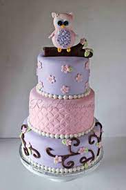 Pink Owl Baby Shower Cake Rose Bakes