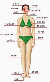 Check spelling or type a new query. Human Body Parts Pictures With Names Body Parts Vocabulary Leg Head Face