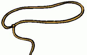 Lasso Clipart Lasso Transparent Free For Download On Webstockreview 2020 Download lasso images and photos. lasso clipart lasso transparent free