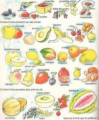 Et Vous Quel Est Le Fruit Que Vous Preferez French Expressions Teaching French Learn French