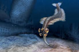 「opabinia」の画像検索結果