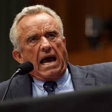 Ann Arbor for Democracy (@AnnArborForPete)