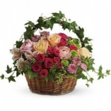 Maybe you would like to learn more about one of these? Send Flowers Albany Ny Flower Delivery Bloomnation