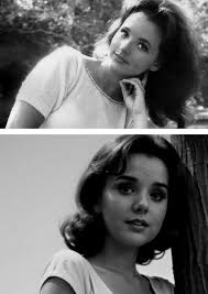 Introduction to Anna Gunn, Breaking Bad Actress