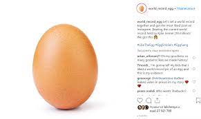 What Is The Egg Meme World Record Egg Meme Explained