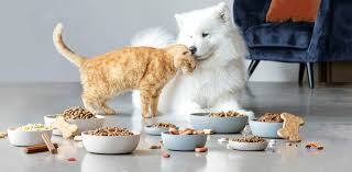 You're most likely to obtain assistance from your own religious institution, but many are willing to help anyone in need, regardless of religious affiliation. United Petfood World Wide Producer Of Quality Cat And Dog Food