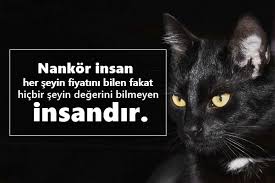 Oscar Wilde Sozleri Pek Guzel Sozler
