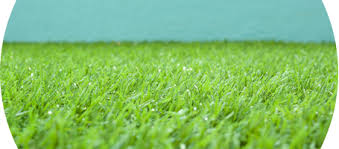Tapis Facon Herbe Enredada