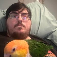 Thought: adding proximity chat to Halo would make it more popular and fun.