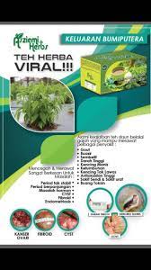 Jelasnya, mulai oktober tahun yang. Teh Daun Belalai Gajah Permatang Pauh Postingan Facebook
