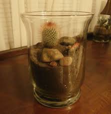 Red Spined Cactus With Red Dinosaur And Rock In Glass Vase Miniature Garden Garden Terrarium Glass Vase