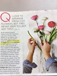 Aspirin is an acid that helps kill bacteria. Pin On Gardening
