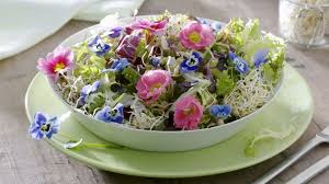 Blattsalat Mit Sprossen Und Essbaren Bluten Rezept Sprossen Fruhlingssalat Blattsalat