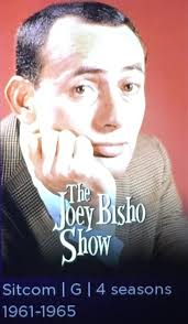 Does anyone know how to stream Canadian and american sitcoms from the 80s  and 90s? Missing some of the old shows :-)