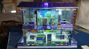 Sayangnya, kamu enggak bisa memelihara banyak ikan di aquarium tersebut. Live Aquarium Bentuk Rumah Lantai 2 Full Variasi Youtube