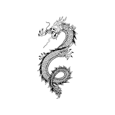 Chinesisches Drachentattoo Design Stock Vector 77529172 Chinesisches Drachentattoo Design Stock Dragon Tattoo Chinese Dragon Tattoos Dragon Tattoo Designs