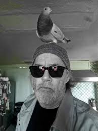 I am looking for a rescue female. My female passed away and my rescue male  needs a new partner. We are not breeding. New Jersey location