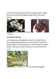 Maybe you would like to learn more about one of these? Ulangan Harian Prakarya 1 Flip Ebook Pages 1 11 Anyflip Anyflip