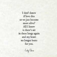 The 50 Best Instagram Poets To Follow On Social Media Love Poems Heartbreak Poems Heartbreaking Quotes
