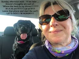 Apoquel experience for dog scratching relief?