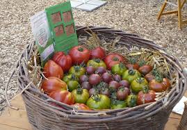 Les tarifs d'entretien d'espace vert sont moins chers lorsque vous vous engagez sur une certaine période hormis le nettoyage et remise en état des espaces verts et le ramassage des feuilles du jardin, les travaux d'entretien les plus fréquents sont les suivants Les Jardins De Contrat Ferme Du Roucheux Producteur Indre Et Loire