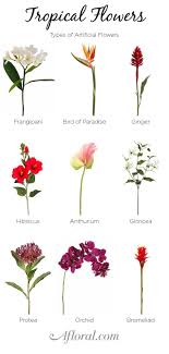 Send flowers from a real granbury, tx local florist. Tropical Flowers Fill Your Tropical Wedding Bouquet And Centerpieces With Arti Tropical Wedding Bouquets Flower Centerpieces Wedding Tropical Wedding Flowers