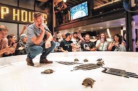 Crafted cda, crafted cda menu, crafted tap house, crafted tap house coeur dalene menu, crafted cda beer menu Crafted Taphouse Kitchen In Coeur D Alene Revs Up Its Late Night Atmosphere With Weekly Turtle Races Arts Culture Spokane The Pacific Northwest Inlander News Politics Music