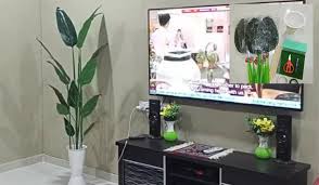Walaupun kita pasang grill tidak bermaksud pencuri pencuri tegar ini tidak akan pecah masuk rumah kita tetapi dengan. Pokok Skybird Hiasan Bajet Rm50 Dah Boleh Dapat Begini Caranya Keluarga