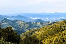 Cazare munte romania, sejur la munte romania, vacanta la munte romania. 10 Cazari Cu Privelisti Superbe In Romania
