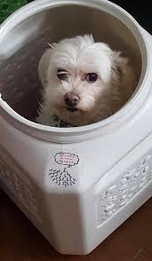 Marshmellow Baby's Legacy Page shared a memory.