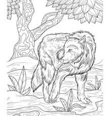 Magic in the books coloring page with cute wolf. Coloring Pages Wolf Vector Images Over 340