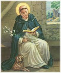 Image result for st dominic's dog
