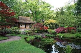 Japanese Garden Tuin Gebouwen Japanse Tuin Tuin