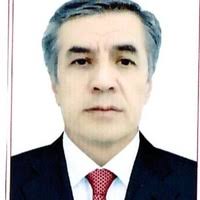 PDF) VOZHANOMAI ZABONSHINOSI.pdf