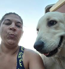 Lost dog named Gingerbread near Gordy Rd