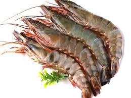 Yuk, masak cumi asam manis dengan resep berikut ini! Resep Udang Goreng Tepung Ala Rumah Makan Seafood