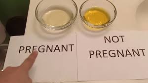 Negative Bleach Pregnancy Test With Clear Blue Digital By Savannah Swift