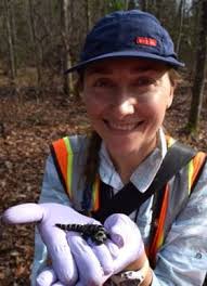 LEC Postdoctoral Fellows