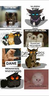 We tried to collect a wonderful collection of funny cat memes pictures that have won great contributions from users, and this package is suitable for all ages. Wojownicy Memy Warrior Cats Funny Warrior Cats Comics Warrior Cat Memes