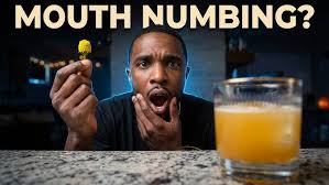 Fireball x Ginger Ale - YouTube