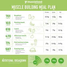 The Ultimate Muscle Building Meal Plan
