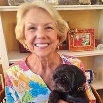 Kristin Conant's Instagram, Twitter & Facebook