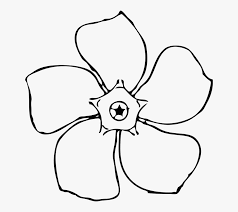Flower black and white drawing. Periwinkle Flower Black And White Floral Macro Mothers Day Flowers Drawing Free Transparent Clipart Clipartkey