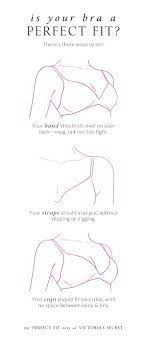 Take this quiz to find out what kind of bra you should be. Pin On The Perfect Fit