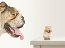 Each of those words has silent letters in english! Medical Words For Everyday Situations Merriam Webster