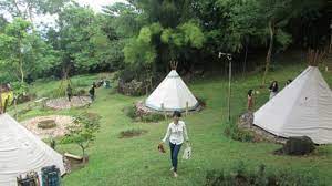 Taman di bandar lampung nasional provinsi sakura kelinci kupu kupu gajah metro wisata bunga strawberry stroberi nemo purbakala pugung raharjo timur harga tiket masuk: Alam Wawai Eco Park Suguhkan Camping Ground Dengan Pemandangan Apik Tribun Lampung