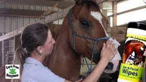 Cvs.com® is not available to customers or patients who are located outside of the united states or u.s. Equine Products Carefree Enzymes Inc